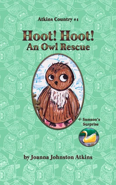 Hoot! Hoot! An Owl Rescue