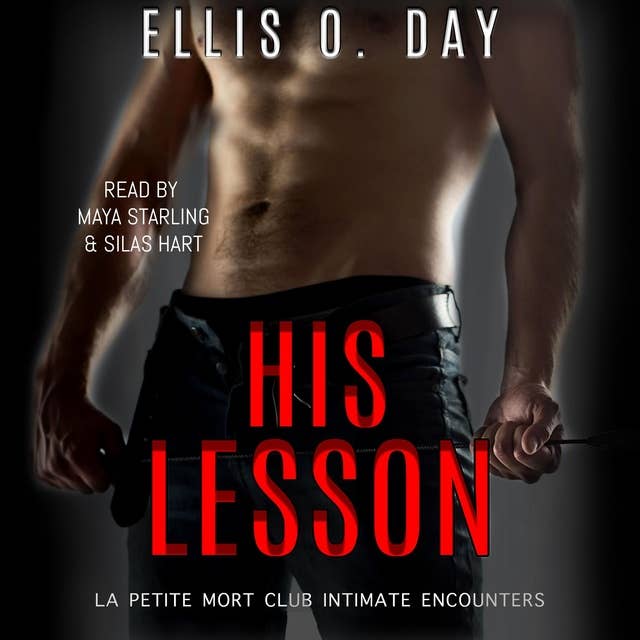 His Lesson: A second chance, BDSM, erotic romance