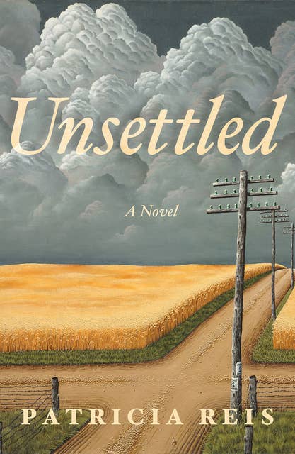Unsettled: A Novel
