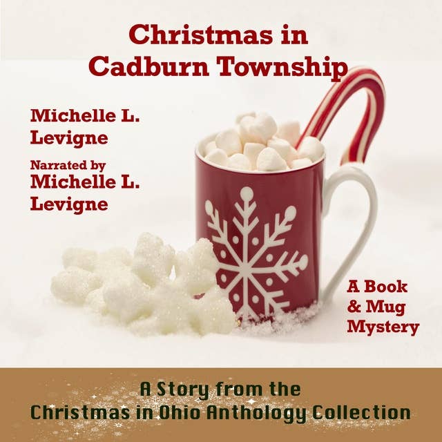 Christmas In Cadburn Township: A Story From the Christmas in Ohio Anthology Collection