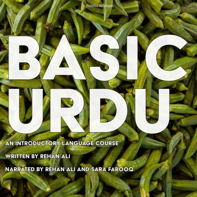 Basic Urdu: An Introductory Language Course