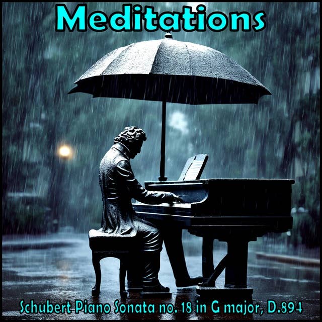 Meditations - Schubert Piano Sonata no. 18 in G major, D.894