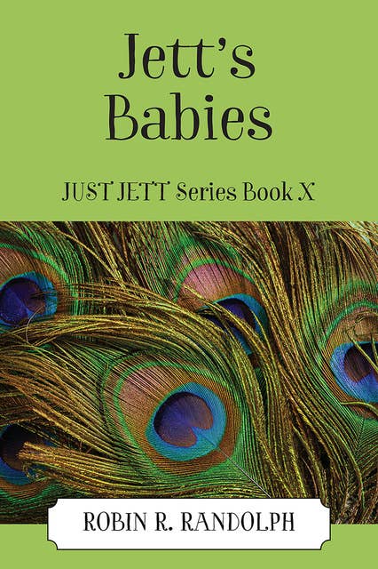 Jett's Babies: JUST JETT Series Book X