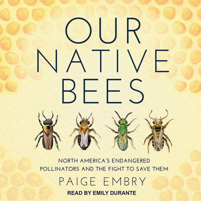 Our Native Bees: North America's Endangered Pollinators and the Fight to Save Them: North America’s Endangered Pollinators and the Fight to Save Them
