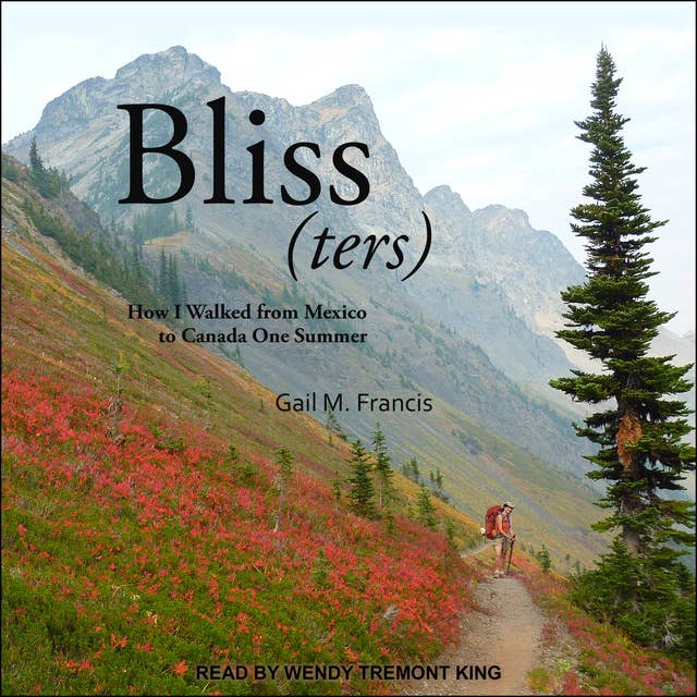 Bliss(ters): How I walked from Mexico to Canada One Summer
