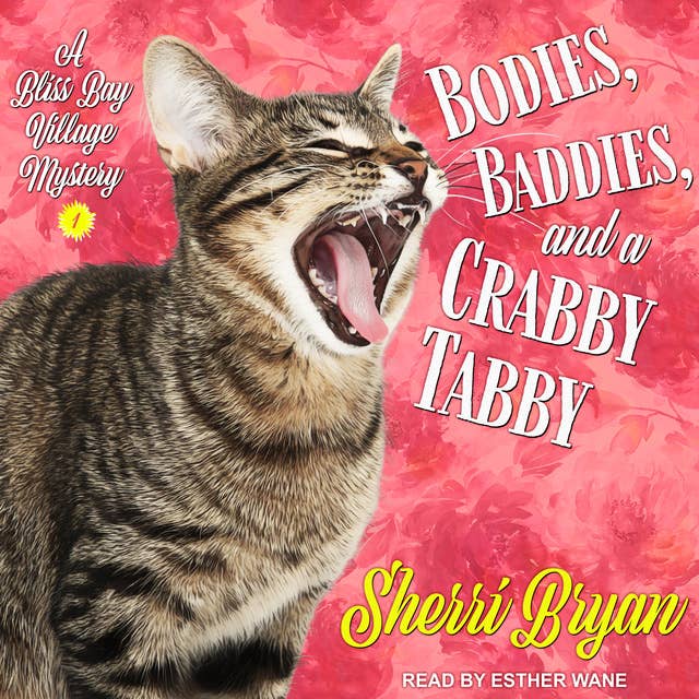 Bodies, Baddies, and a Crabby Tabby: A Bliss Bay Cozy Mystery