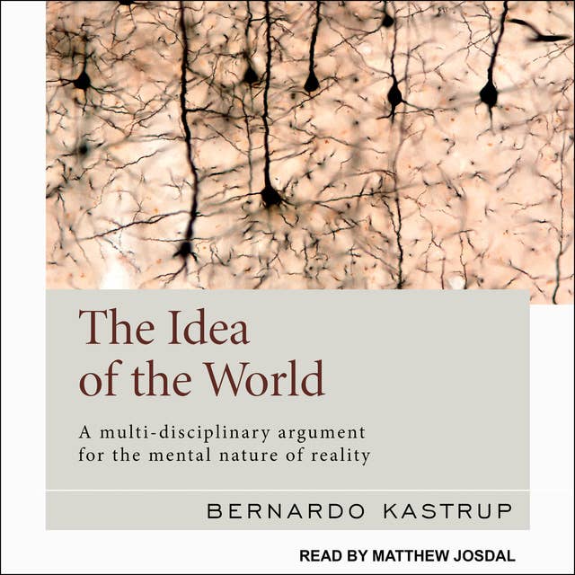 The Idea of the World: A Multi-Disciplinary Argument for the Mental Nature of Reality