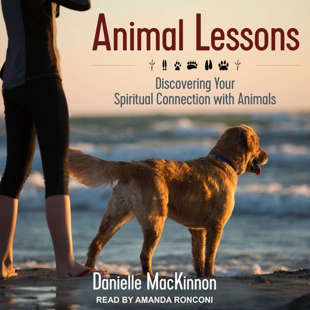 Cover for Animal Lessons: Discovering Your Spiritual Connection with Animals