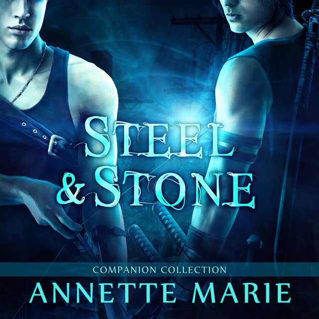 Cover for Steel & Stone Companion Collection