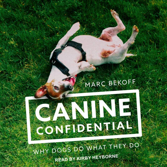 Cover for Canine Confidential: Why Dogs Do What They Do