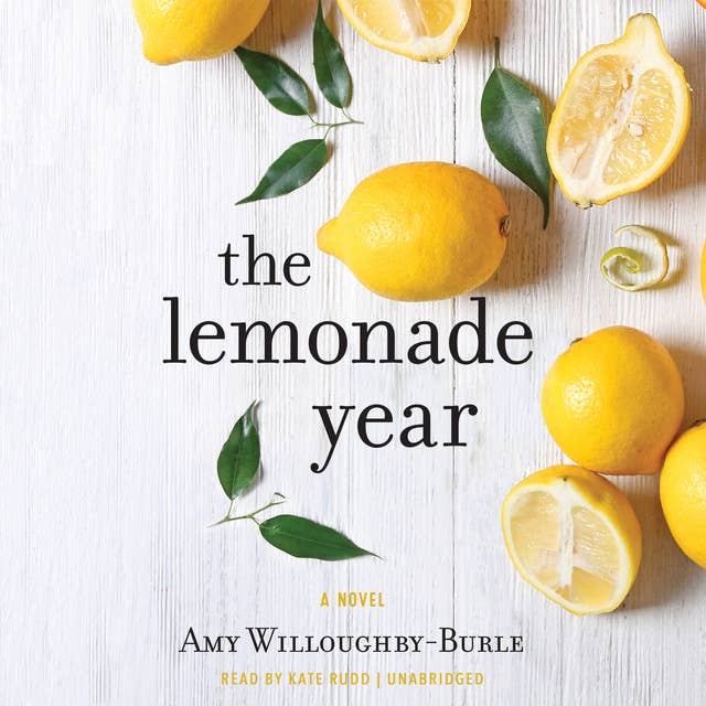 The Lemonade Year: A Novel