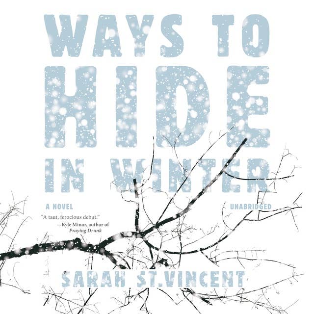 Ways to Hide in Winter: A Novel