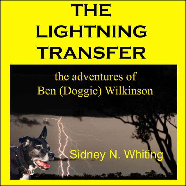 The Lightning Transfer