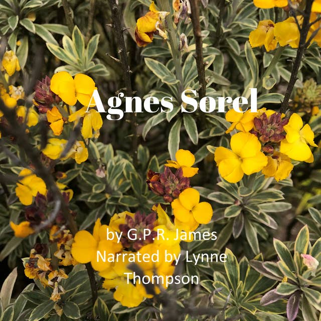 Agnes Sorel: A Novel