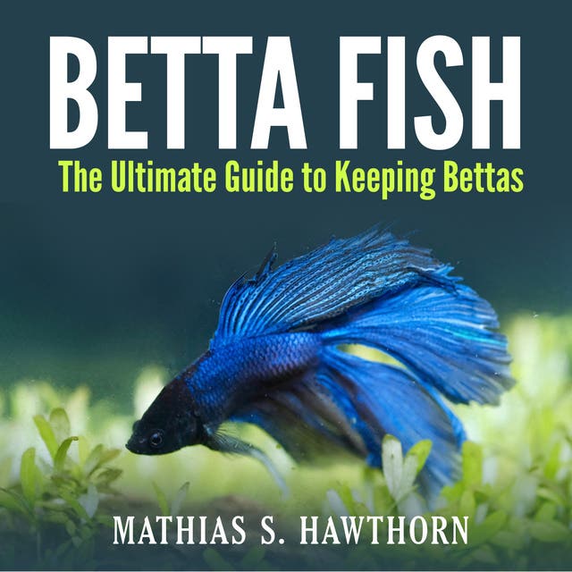 Betta Fish: The Simple Guide to Caring for Your Magical Betta