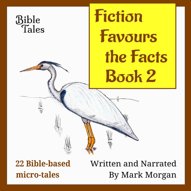 Fiction Favours the Facts: Book 2