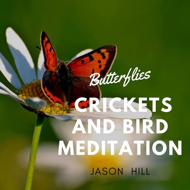 Butterflies, Crickets and Birds Meditation