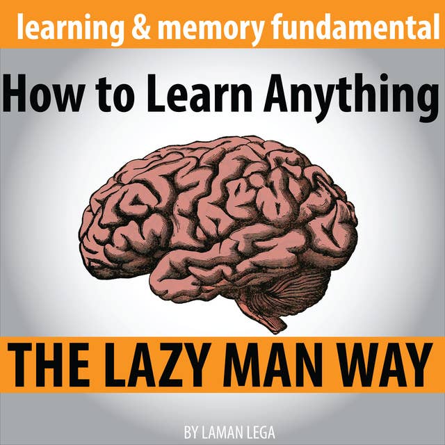 How to Learn Anything The Lazy Man Way