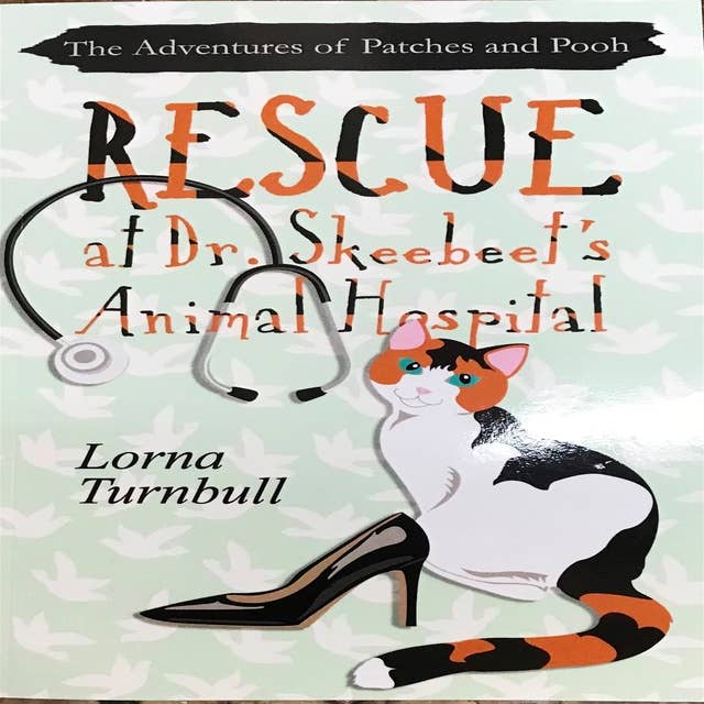 The Adventures of Patches and Pooh: Rescue at Dr. Skeebeet's Animal Hospital