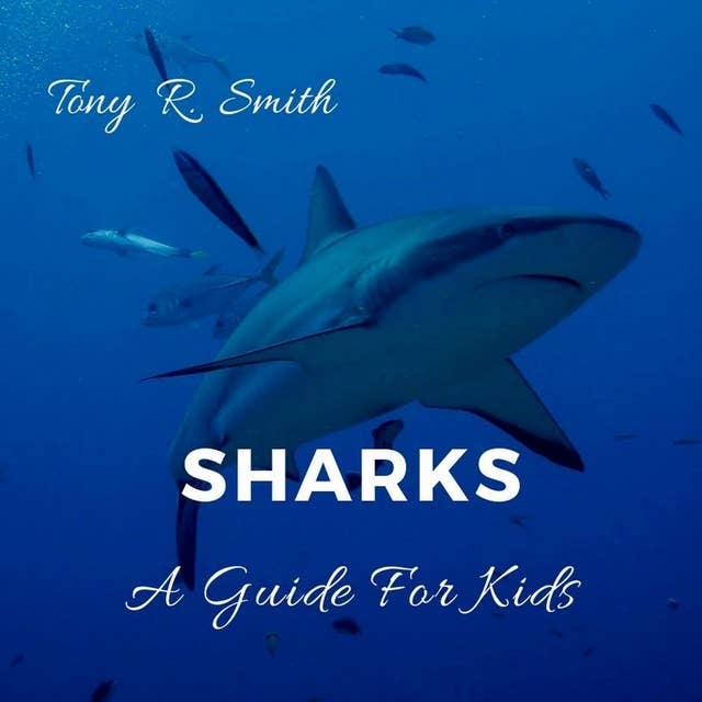 Sharks: A Guide for Kids