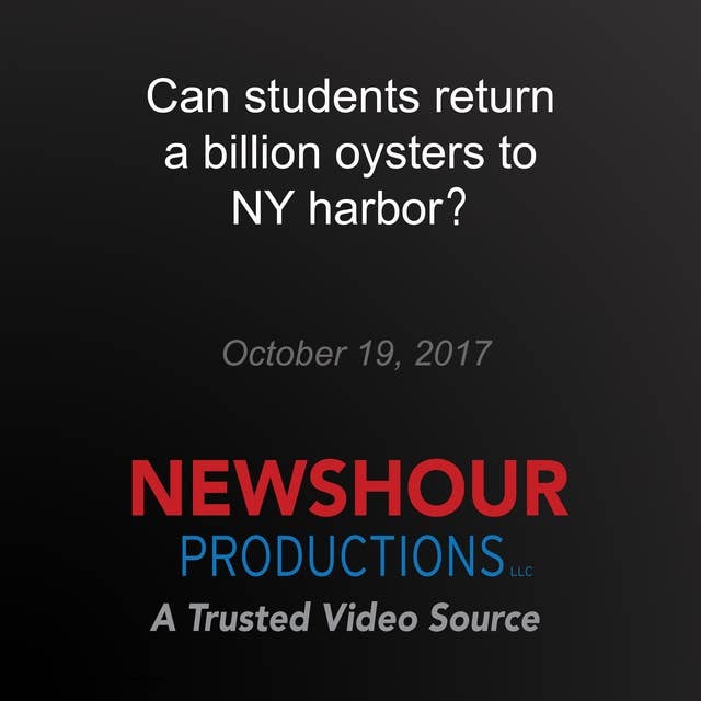 Can students return a billion oysters to NY harbor?