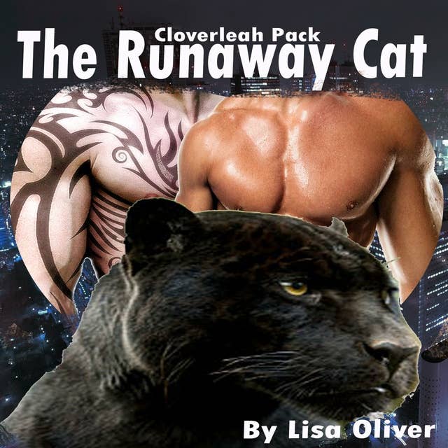 The Runaway Cat