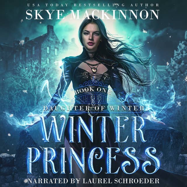 Cover for Winter Princess: A Fantasy Reverse Harem Romance