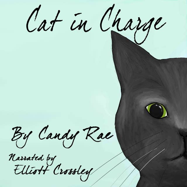 Cat in Charge: Sammy the Cat