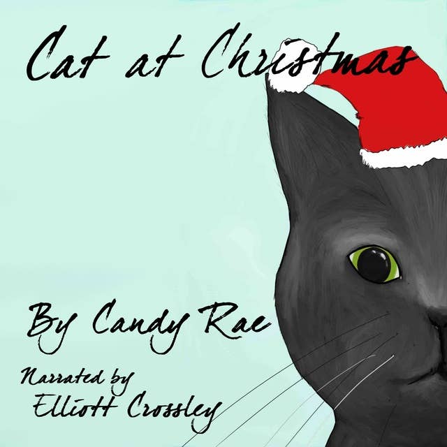 Cat at Christmas: Sammy the Cat