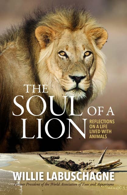 The Soul of a Lion: Reflections on a life lived with animals