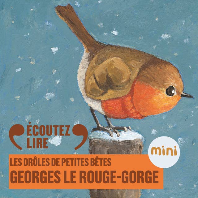 Georges le rouge-gorge - Les Drôles de Petites Bêtes