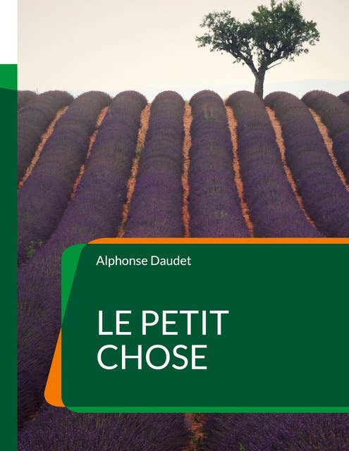 Le Petit Chose: Un roman autobiographique