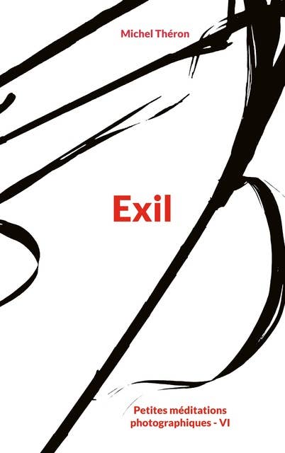Exil: Petites méditations photographiques - Tome VI