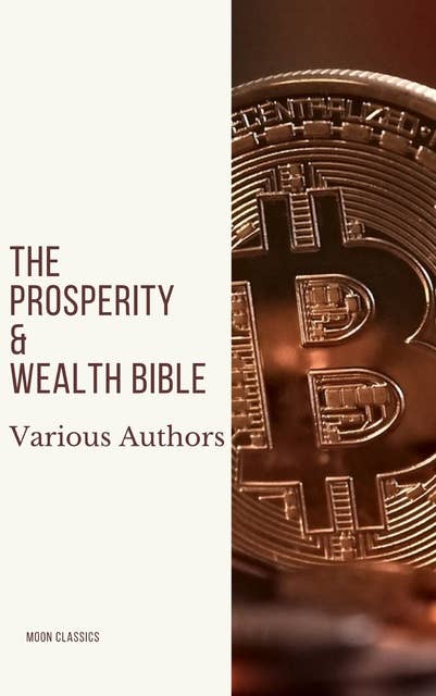 Cover for The Prosperity & Wealth Bible