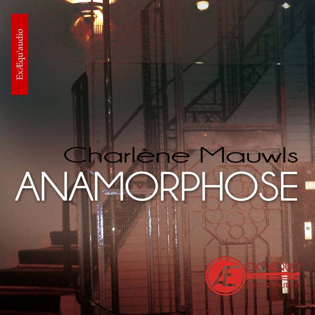 Anamorphose: Nouvelle policière