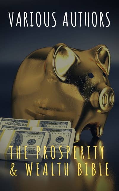 Cover for The Prosperity & Wealth Bible