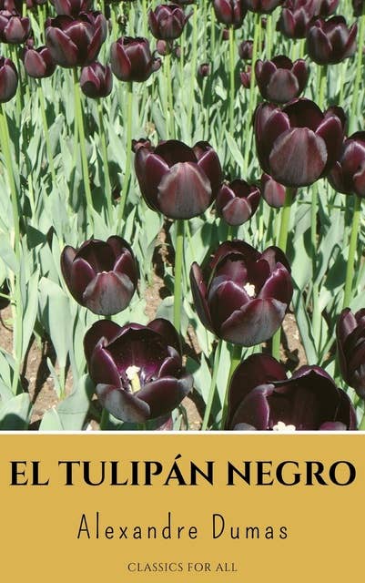 Libro El Tulipán Negro De Alexandre Dumas - Buscalibre