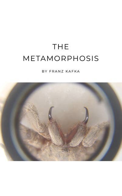 The Metamorphosis: Kafka's Masterpiece of Transformation