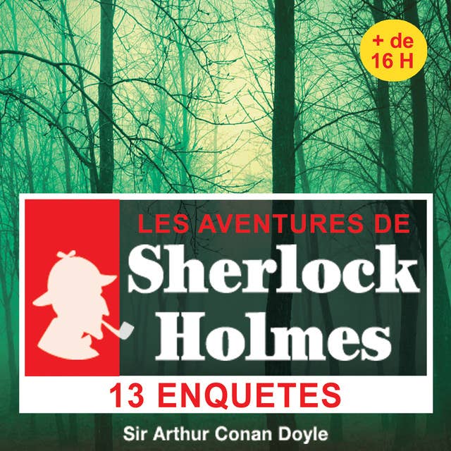 13 enquêtes de Sherlock Holmes