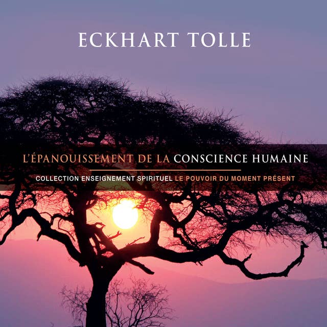 L'épanouissement de la conscience humaine: L'épanouissement de la conscience humaine