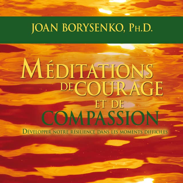 Méditations de courage et de compassion : Développer notre résilience dans les moments difficiles by Joan Borysenko