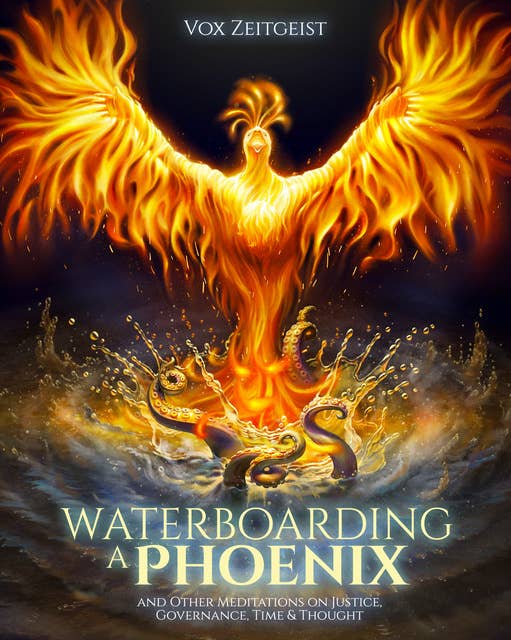 Waterboarding a Phoenix: And Other Meditations on Justice, Governance, Time & Thought