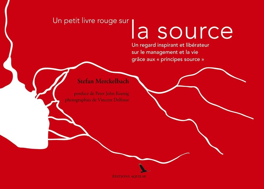 Un petit livre rouge sur la source: Un regard inspirant et libérateur sur le management et la vie grâce aux "principes source"