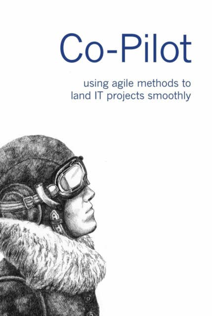 Co-Pilot: using agile methods to land IT projects smoothly