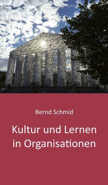 Kultur und Lernen in Organisationen: Ein Lesebuch von Bernd Schmid 2020