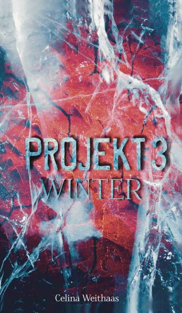 Winter: Projekt III