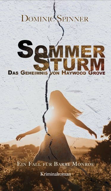 Sommersturm - Das Geheimnis von Haywood Grove: Der zweite Fall für Barry Monroe: Ein Fall für Barry Monroe - die Fortsetzung der erfolgreichen Jugend-Krimiserie
