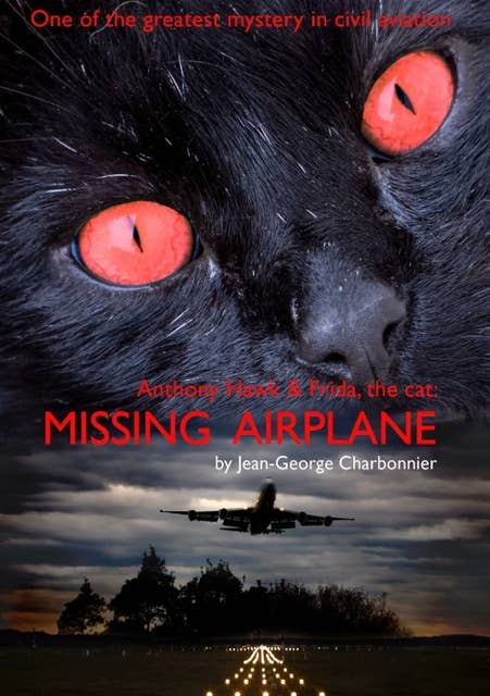 ANTHONY HAWK and FRIDA, THE CAT: "Missing Airplane": One of the greatest mystery in civil aviation