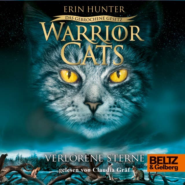 Warrior Cats - Das gebrochene Gesetz. Verlorene Sterne: VII, Band 1