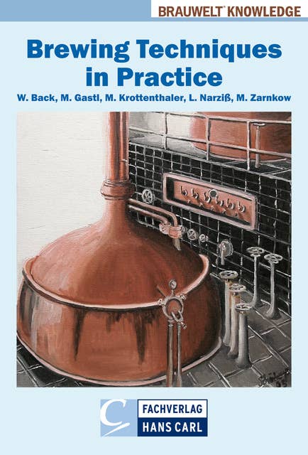 Brewing Techniques in Practice: An In-depth Review of Beer Production with Problem Solving Strategies